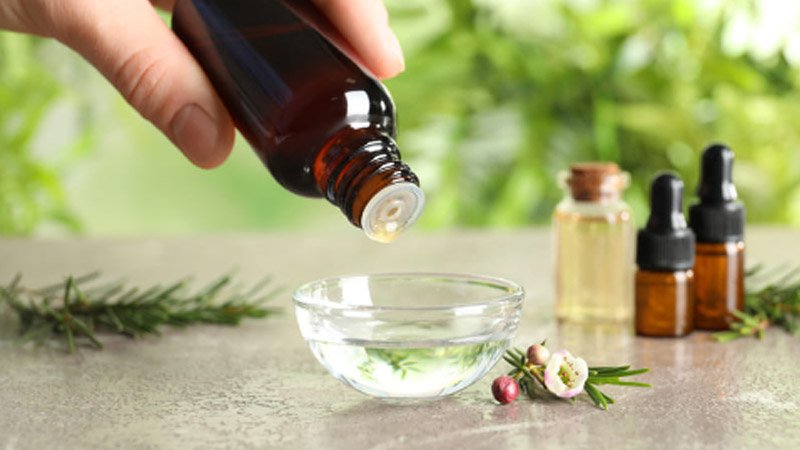 Chữa nấm da đầu bằng tinh dầu tràm trà